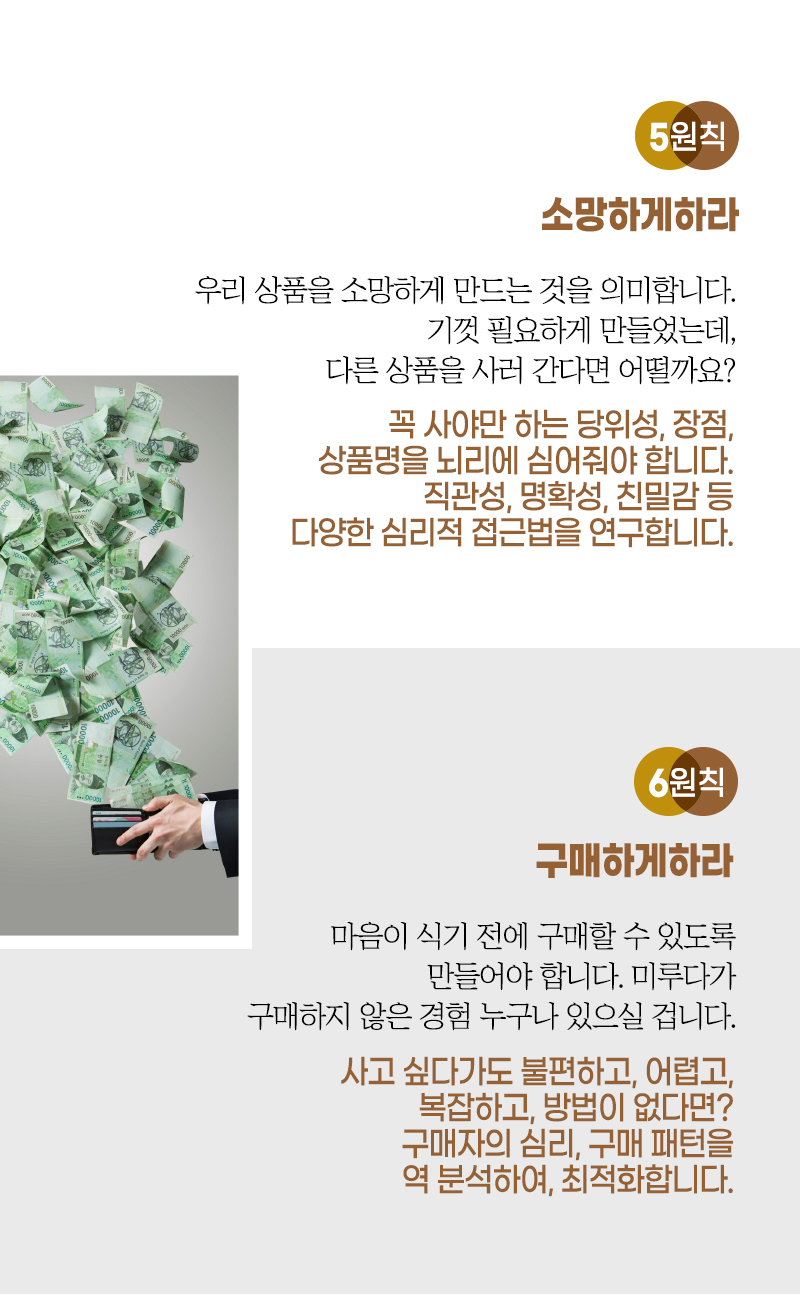 5, 6원칙