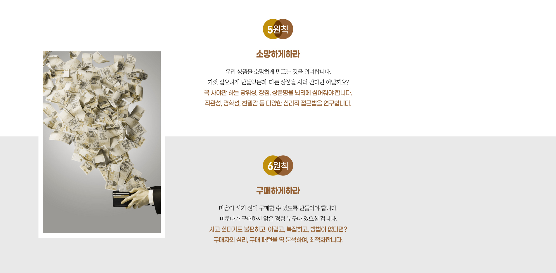 5, 6원칙